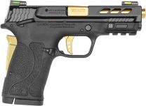 S&W*M&P380SHLD 12719 PC 380 EZ PT 3.8 2x8R GLD