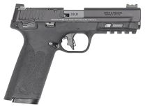 S&W M&P22x14313 22LR 4.1 WHT DOT 10R TS BLK
