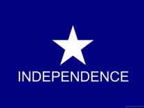 Captain Scott's Texas Independence Flag