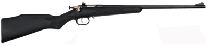 Crickett 22 Rifle Blued/Black Synthetic