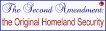 Red Dot- The Second Amendment: the Original Homeland Security- Sticker