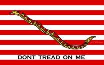1st US Navy Jack Flag with Stick