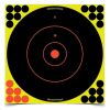 Birchwood Casey Shoot-N-C Targets: Bull's-Eye SRC-5 12" Round 200 Yard, 5 Pack