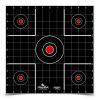 Birchwood Casey Dirty Bird Paper Targets 12", Sight In, 12 Pack