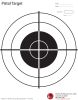 Red Dot Pistol Target 25 pack